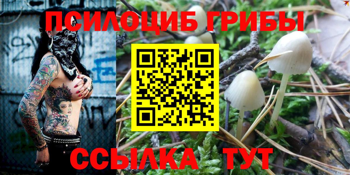 Псилоцибиновые грибы мухоморы Аргун