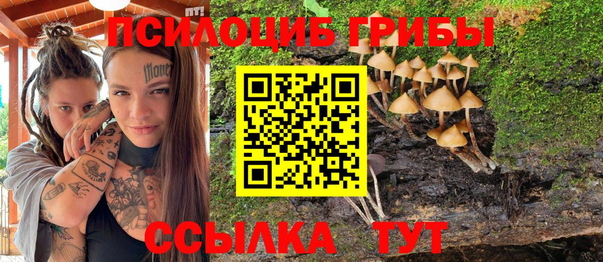 Псилоцибиновые грибы Psilocybe  Галлюциногенные грибы мицелий  Вход с VPN  Аргун 